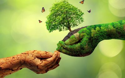dia-mundial-del-medio-ambiente-el-planeta-necesita-que-nos-convirtamos-en-la-generacion-restauracion-340781-1_1280